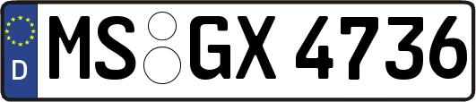 MS-GX4736