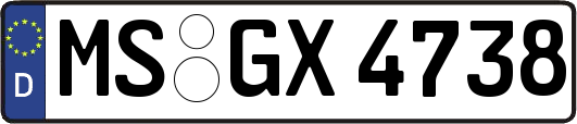 MS-GX4738