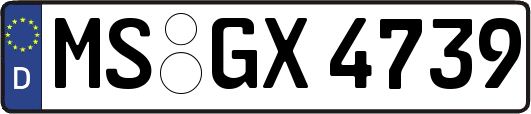 MS-GX4739