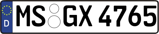 MS-GX4765