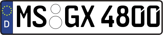 MS-GX4800