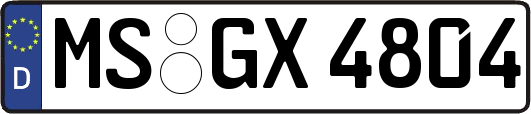 MS-GX4804