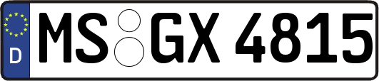 MS-GX4815