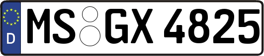 MS-GX4825