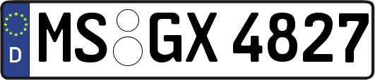 MS-GX4827