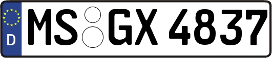 MS-GX4837