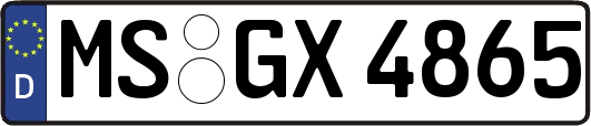 MS-GX4865