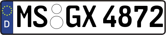 MS-GX4872