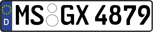 MS-GX4879