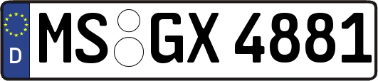 MS-GX4881