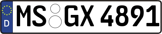 MS-GX4891