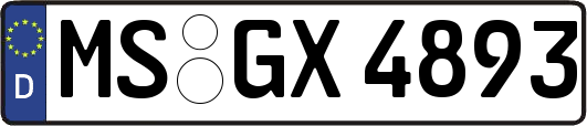 MS-GX4893