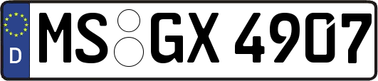 MS-GX4907