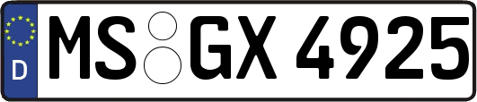 MS-GX4925