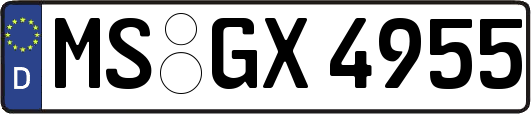 MS-GX4955