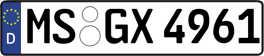 MS-GX4961
