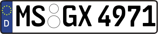 MS-GX4971