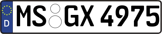 MS-GX4975
