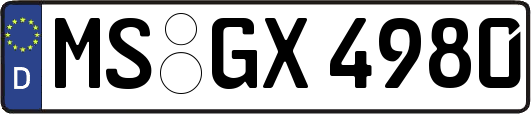 MS-GX4980
