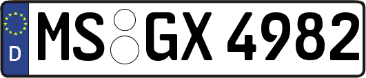 MS-GX4982