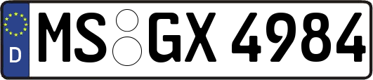 MS-GX4984