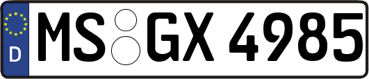 MS-GX4985
