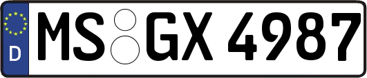 MS-GX4987