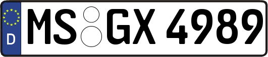 MS-GX4989
