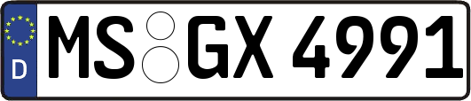 MS-GX4991