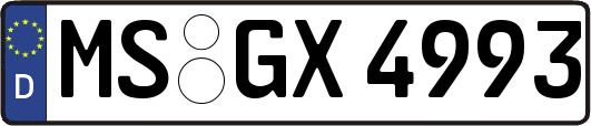 MS-GX4993