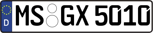 MS-GX5010