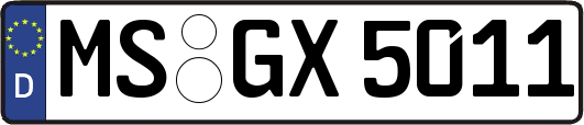 MS-GX5011