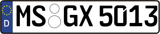 MS-GX5013
