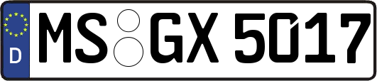 MS-GX5017