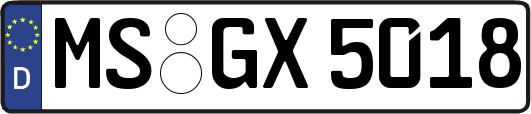 MS-GX5018