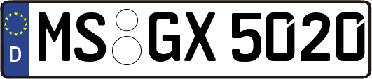 MS-GX5020