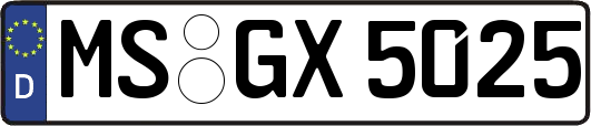 MS-GX5025