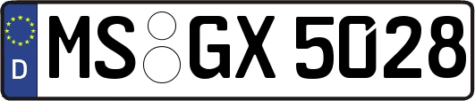 MS-GX5028