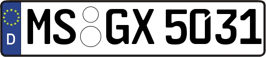 MS-GX5031