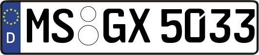 MS-GX5033