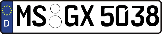 MS-GX5038