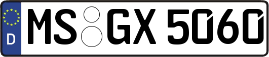 MS-GX5060
