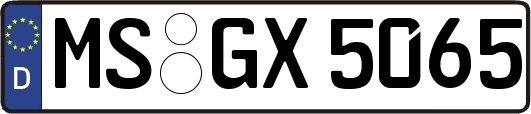 MS-GX5065
