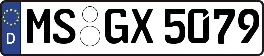 MS-GX5079