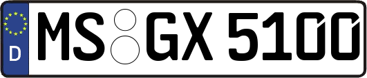 MS-GX5100