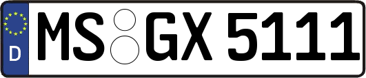 MS-GX5111