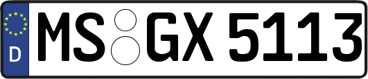 MS-GX5113