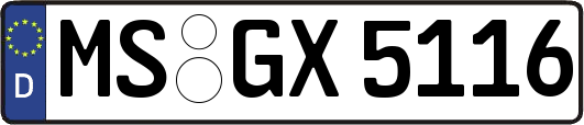 MS-GX5116