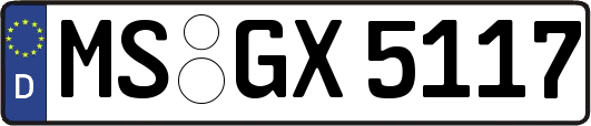 MS-GX5117