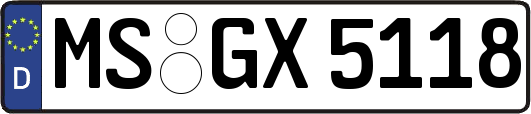 MS-GX5118